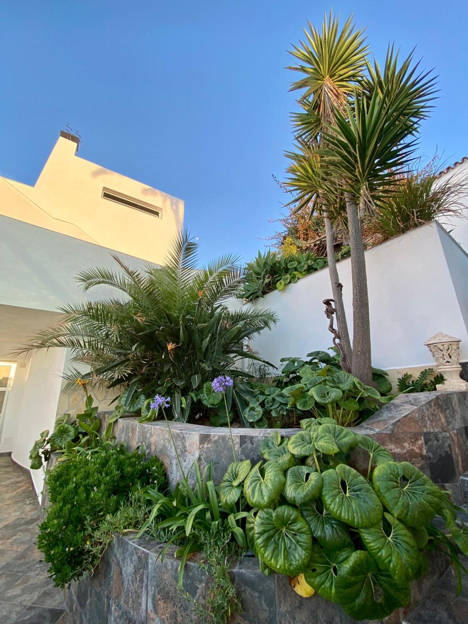 Villa Oasis La Paz - Acaymo Loft - Adults Only - Puerto de la Cruz  Exterior foto