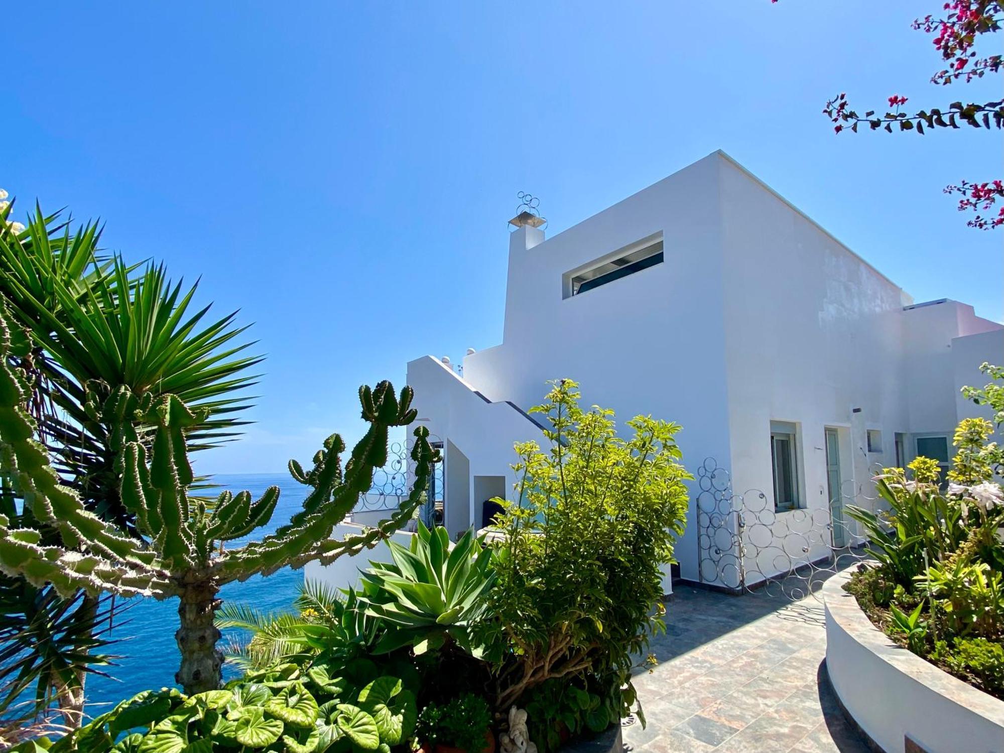 Villa Oasis La Paz - Acaymo Loft - Adults Only - Puerto de la Cruz  Exterior foto